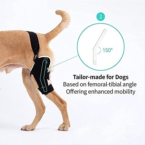 Наколенник за кучета на панти Poveo с предпазител патела - Неопреновый хонорар за кучета с гъвкава опора при