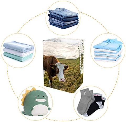 Кошница за дрехи MAPOLO Синьо Небе и Трева, Кравата Сгъваема Кошница за съхранение на бельо с Дръжки Подвижни