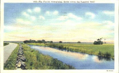 Пощенска картичка от Евърглейдс, Флорида