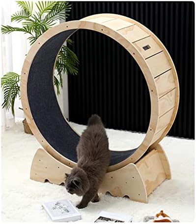 LCTTLLY Cat Exercise Wheel – Бягане, въртене и забавно драскане, дърпане, Бягаща пътека, за котки с мокет, спортна