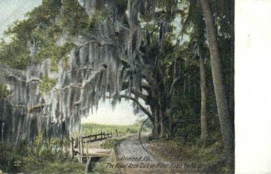 Пощенска картичка от Ормонда, Флорида